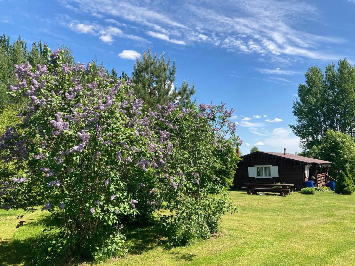 Pikkjaerve Puhkemaja Tilsi Exterior foto